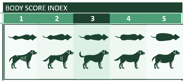 Body Score Index: 1 (very thin) to 5 (obese)